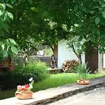 Dedovite Kashti