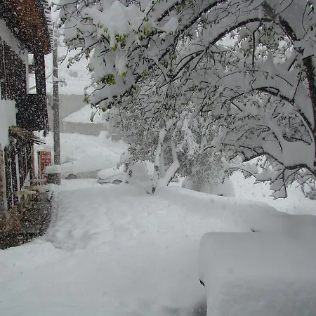 Dedovite Kashti ゲストハウス Stefanovo