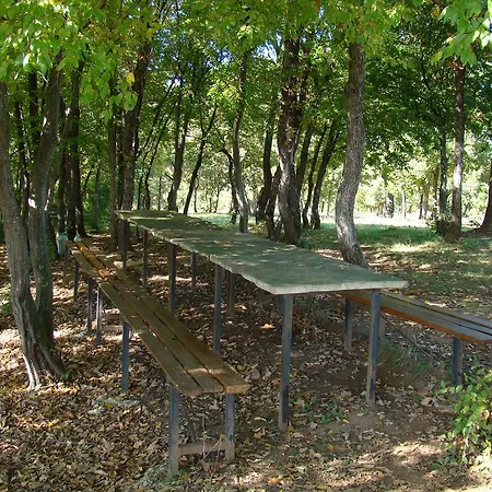Dedovite Kashti