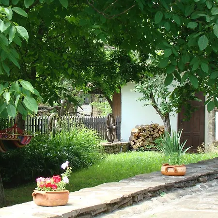 Dedovite Kashti